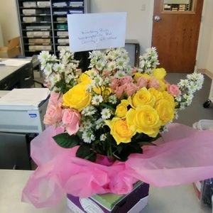 Meet your Posher, Kimberly